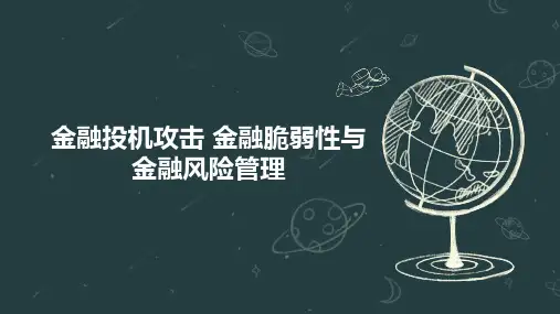 金融投机攻击 金融脆弱性与金融风险管理