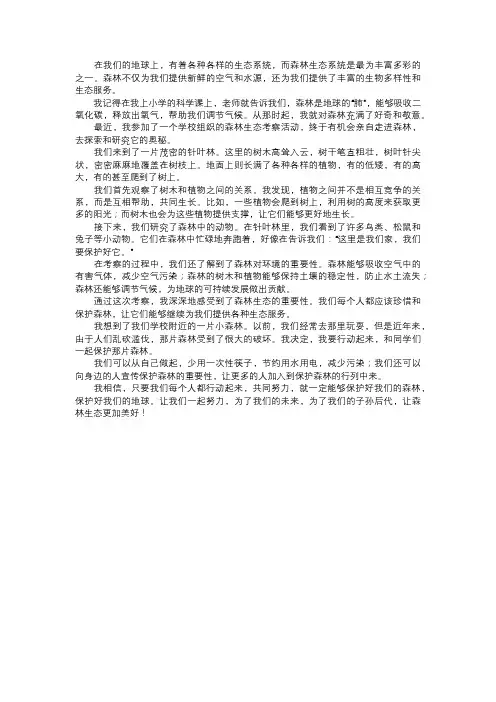 我研究的森林生态