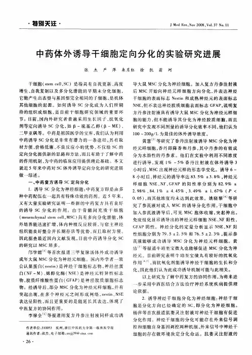 中药体外诱导干细胞定向分化的实验研究进展