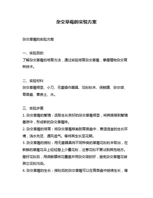 杂交草莓的实验方案