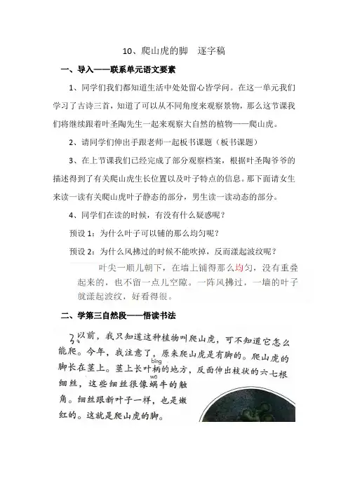 部编版四年级上册试讲《爬山虎的脚》