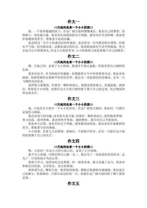天地间走来一个小小的我作文200字