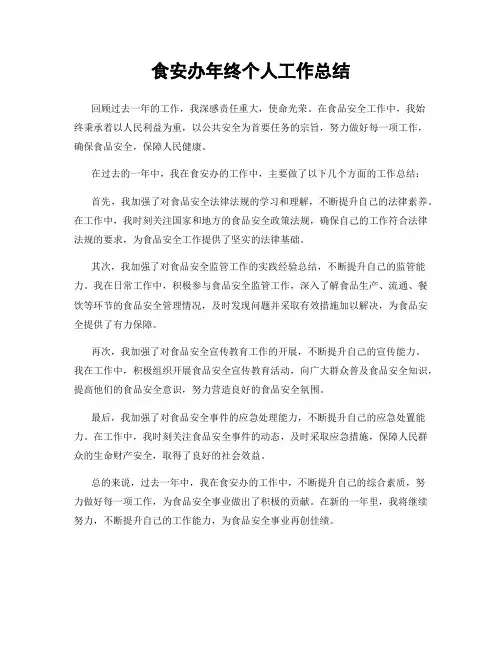 食安办年终个人工作总结