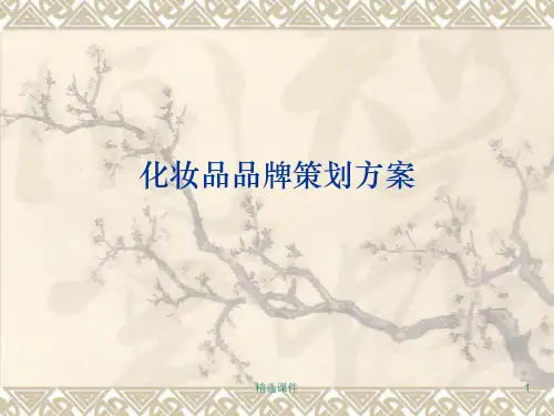 化妆品策划方案ppt课件
