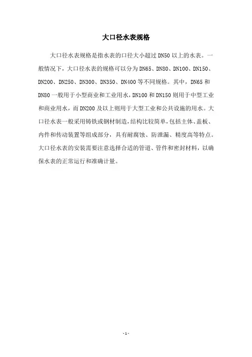 大口径水表规格