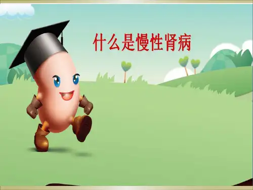 慢性肾病 PPT课件