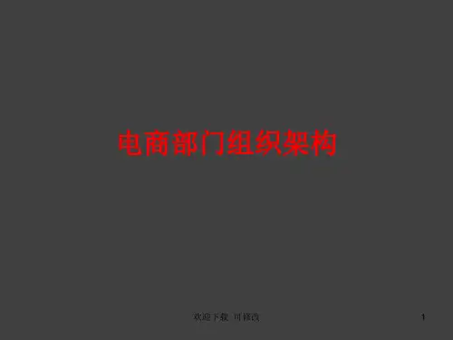 电商部门组织架构图(最新)