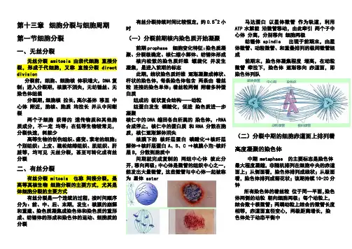 细胞分裂与细胞周期