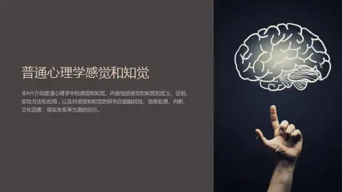 普通心理学感觉和知觉