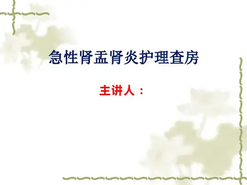 急性肾盂肾炎护理查房PPT