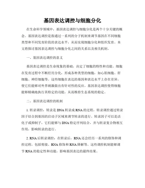 基因表达调控与细胞分化