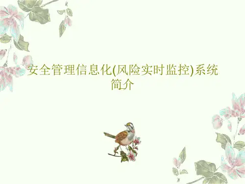 安全管理信息化(风险实时监控)系统简介52页PPT