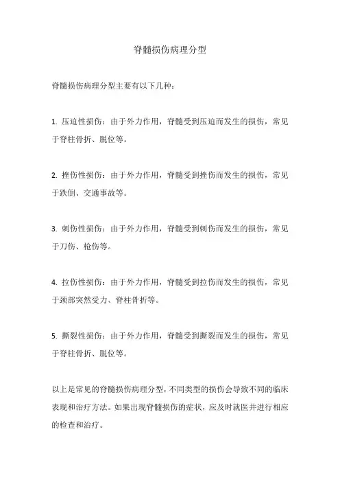 脊髓损伤病理分型