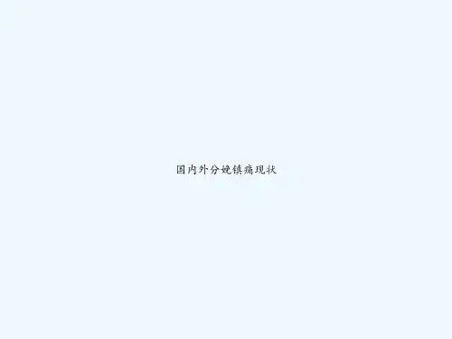 国内外分娩镇痛现状 PPT