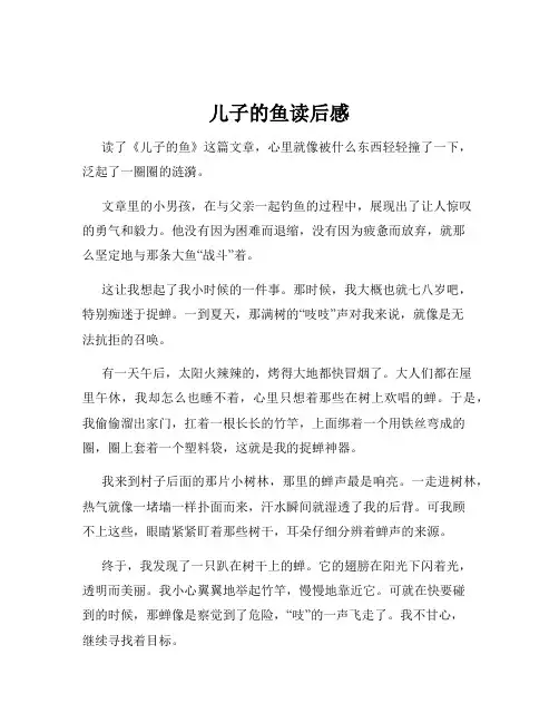 儿子的鱼读后感