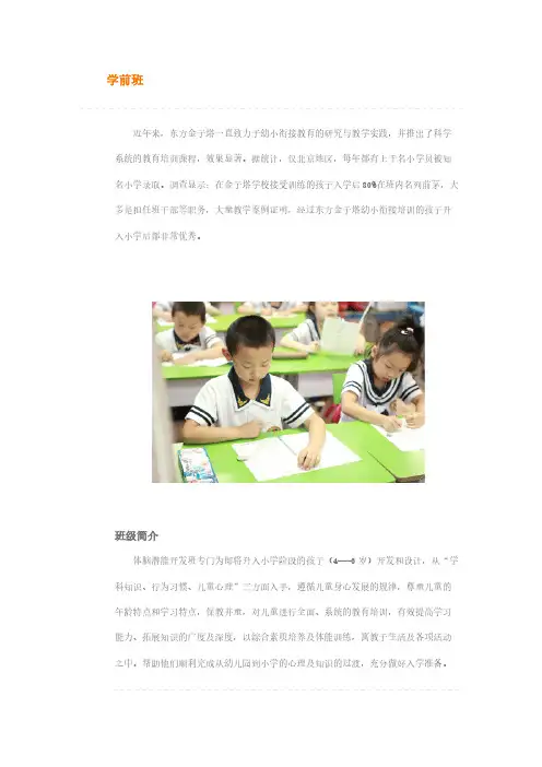 【免费下载】东方金子塔学校学前班