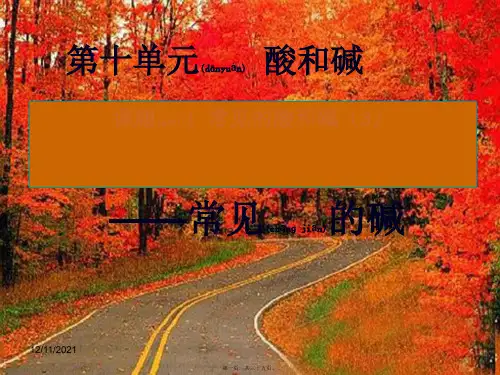 九年级化学下册 第十单元 课题1 常见的酸和碱课件3初中