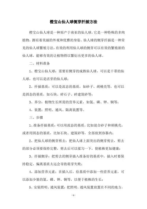 橙宝山仙人球侧芽扦插方法