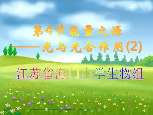 光合作用的原理和应用精品PPT教学课件
