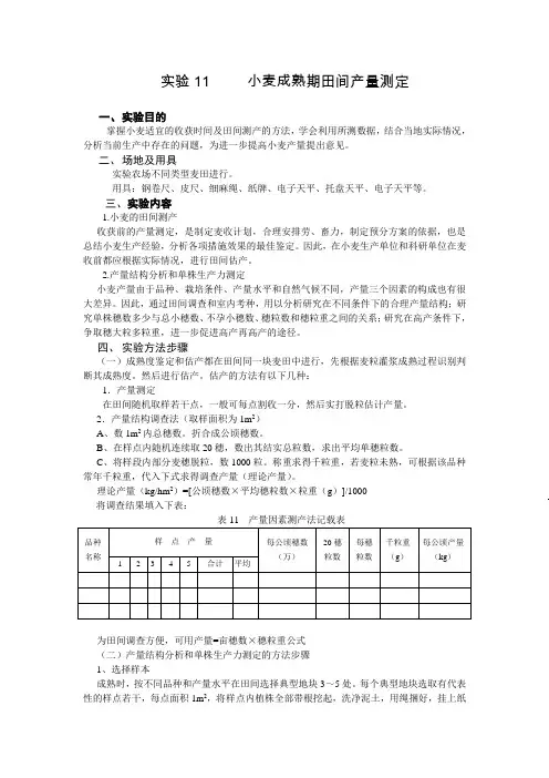 实验11 小麦成熟期田间产量测定