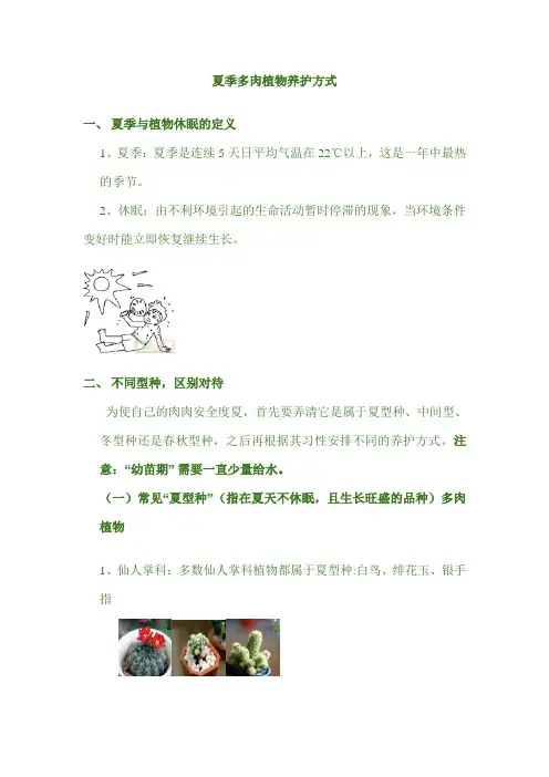多肉植物养护Word 文档