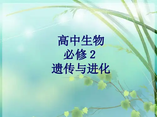 高中生物《遗传与进化》课本知识点汇总 PPT课件 图文
