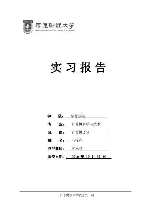 广东财经大学实习报告格式