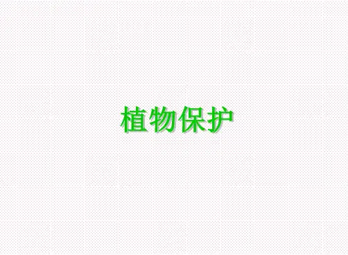 果树病虫害识别