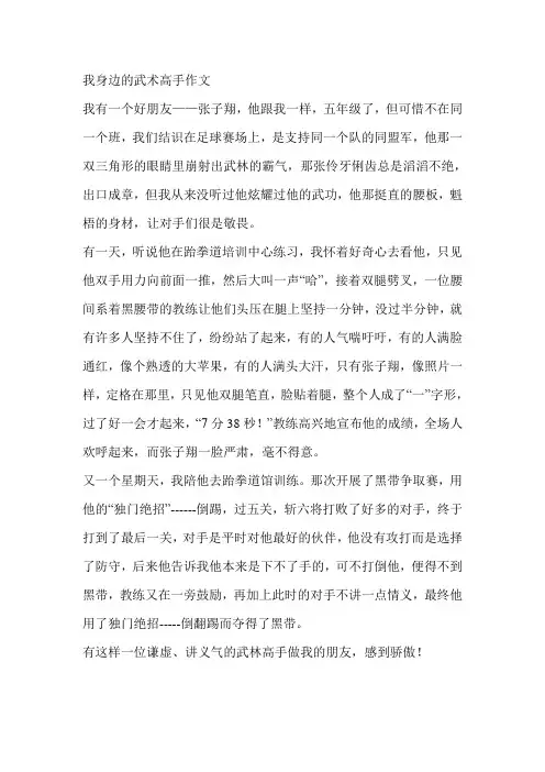 我身边的武术高手作文