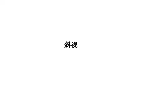 斜视PPT课件