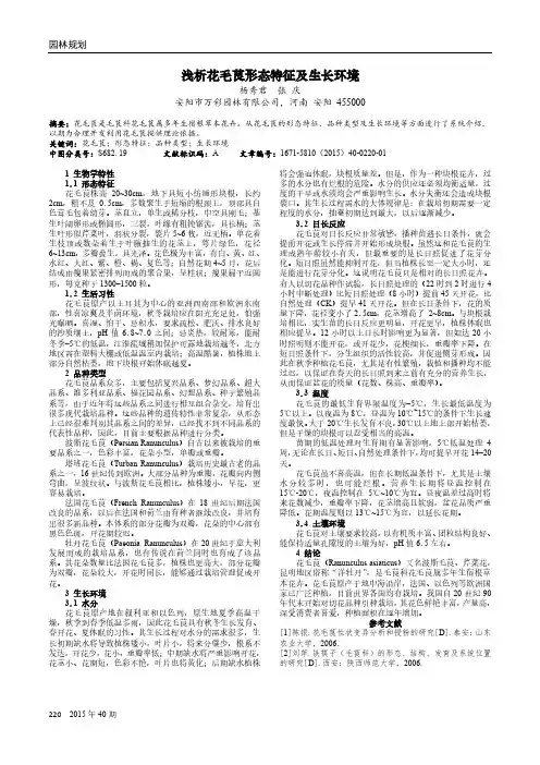浅析花毛茛形态特征及生长环境