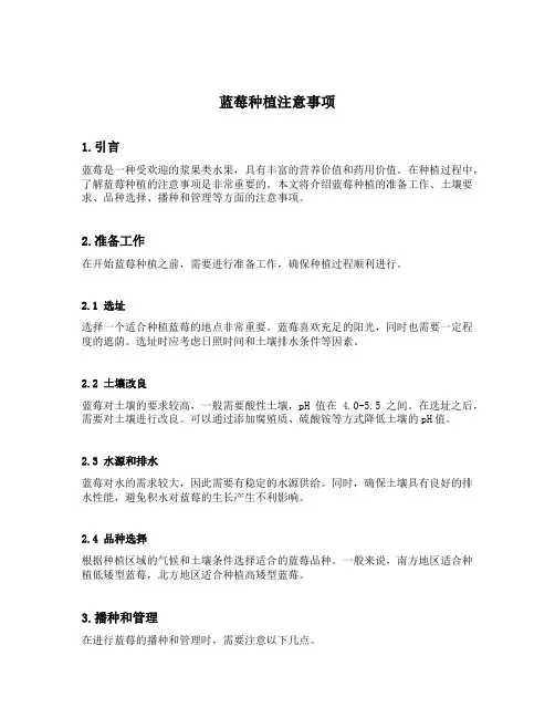 蓝莓种植注意事项