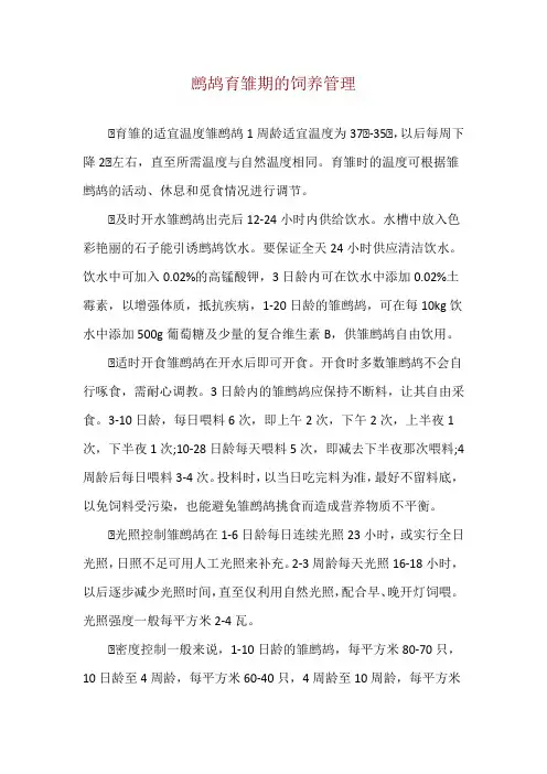 鹧鸪育雏期的饲养管理