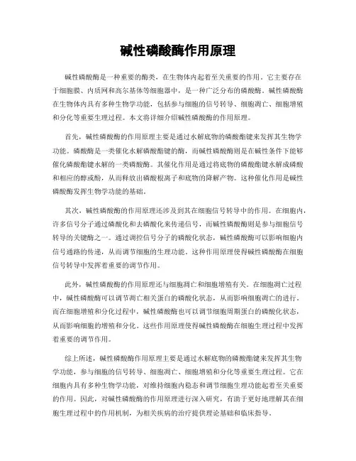 碱性磷酸酶作用原理