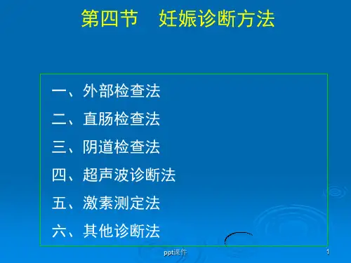 母畜妊娠诊断方法ppt课件