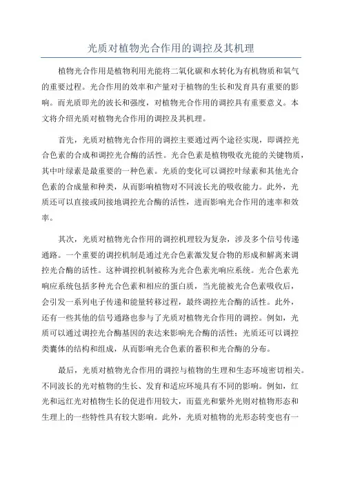 光质对植物光合作用的调控及其机理