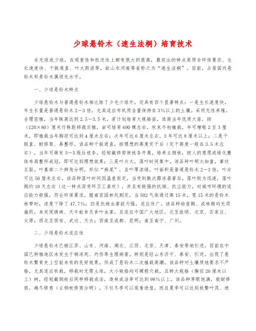 少球悬铃木(速生法桐)培育技术