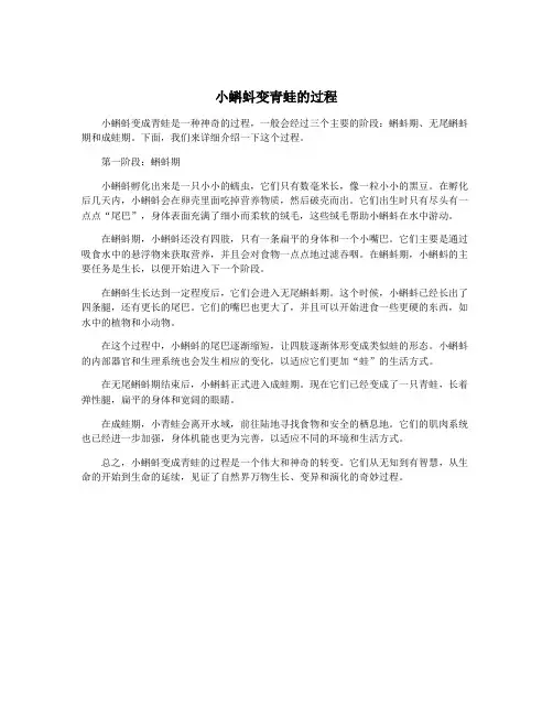 小蝌蚪变青蛙的过程