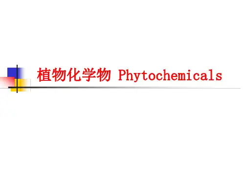 营养与食品课件-植物化学物课件