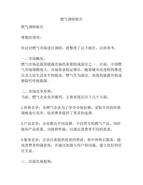 燃气调研报告