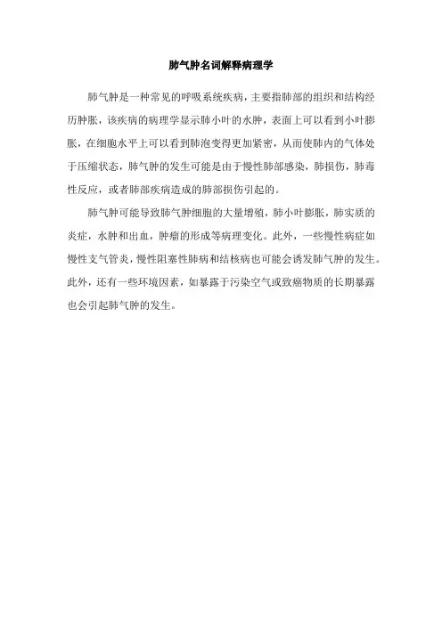 肺气肿名词解释病理学