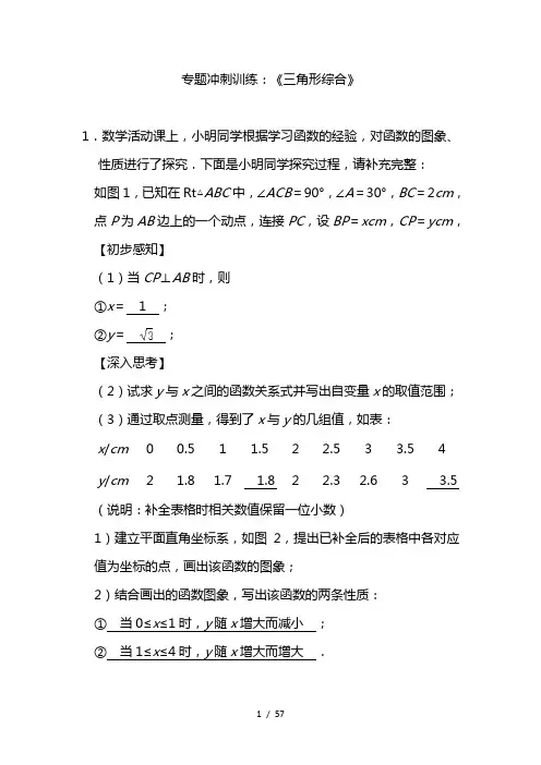 2021九年级中考数学专题冲刺训练：《三角形综合》(解析版)
