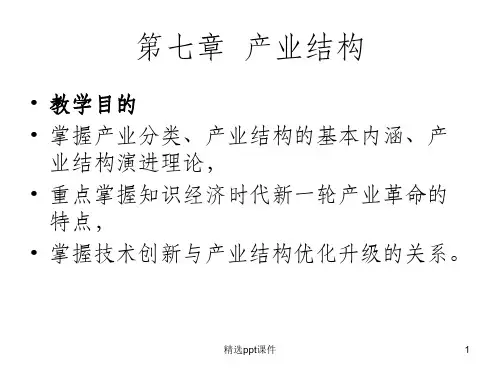 产业经济学产业结构ppt课件