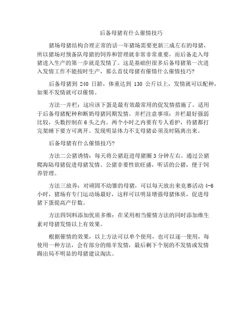 后备母猪有什么催情技巧