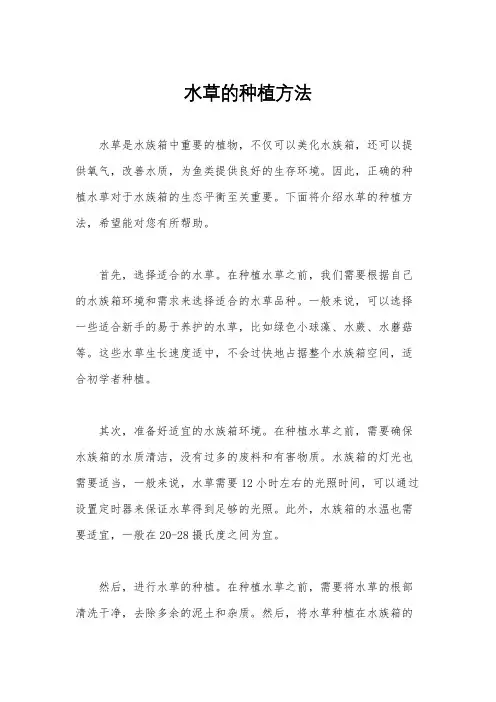 水草的种植方法