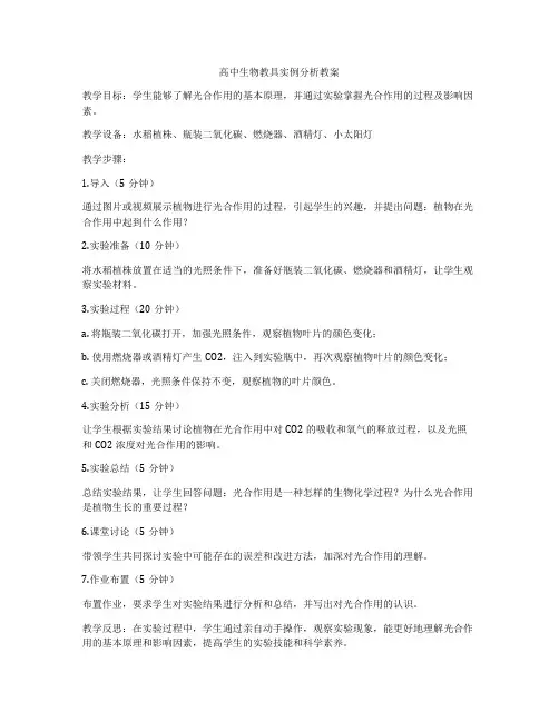 高中生物教具实例分析教案