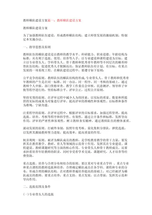 教师梯队建设方案【精品文档】