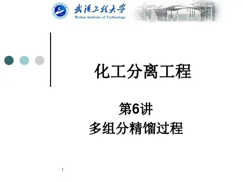 化工分离过程讲义(第6讲) - 武汉工程大学