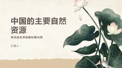 中国的主要自然资源