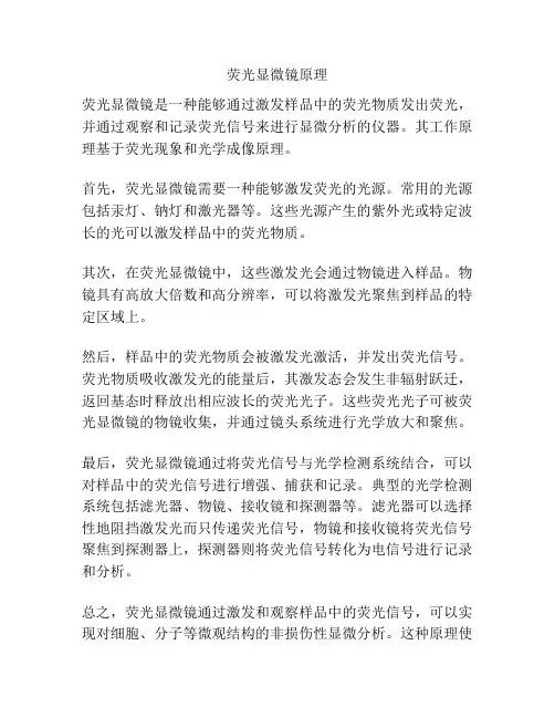 荧光显微镜原理